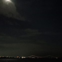 二見タチウオ釣行