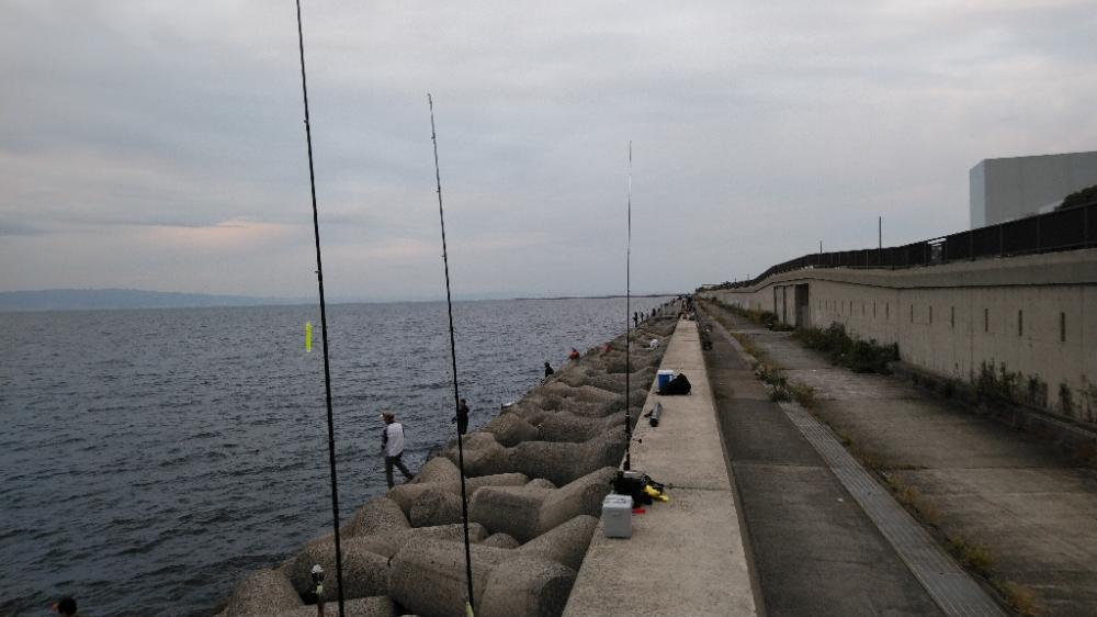 夕まずめは青物の回遊は見られず