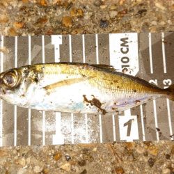 錆び落とし完了