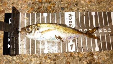 錆び落とし完了