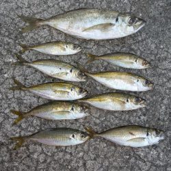 前回ラインを切られたのでPE0.4巻いて来ました。