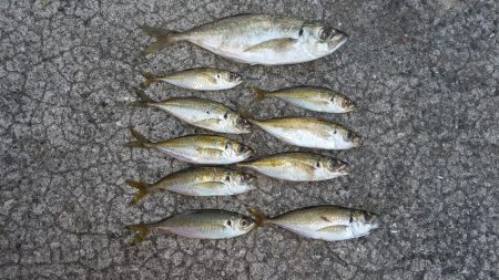 前回ラインを切られたのでPE0.4巻いて来…