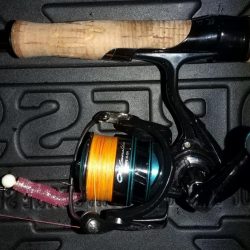 アジングでも太刀魚が〜!