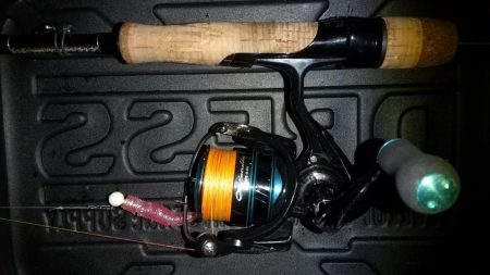 アジングでも太刀魚が〜!