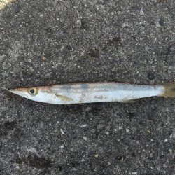 爆風の中の釣り1