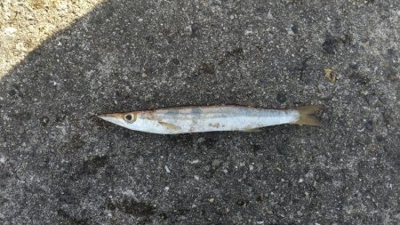 爆風の中の釣り1