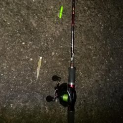 ミカンの美味しい季節になりました。