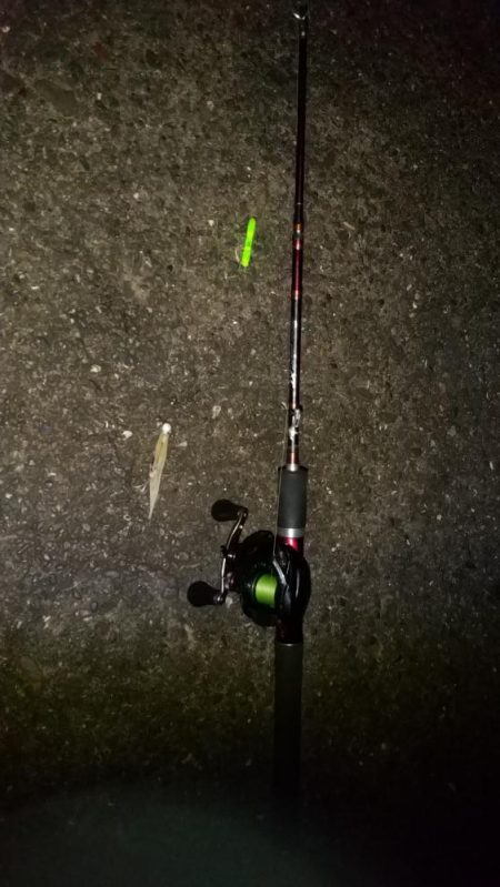 ミカンの美味しい季節になりました。