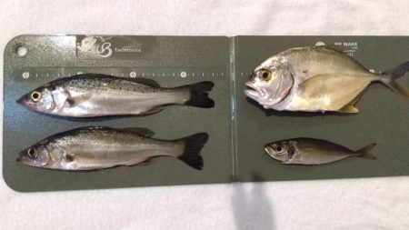 今季初メッキ！