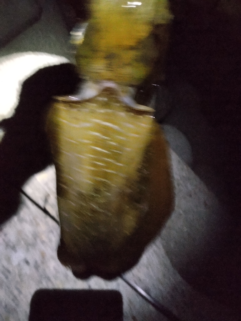 まだ、居ました。