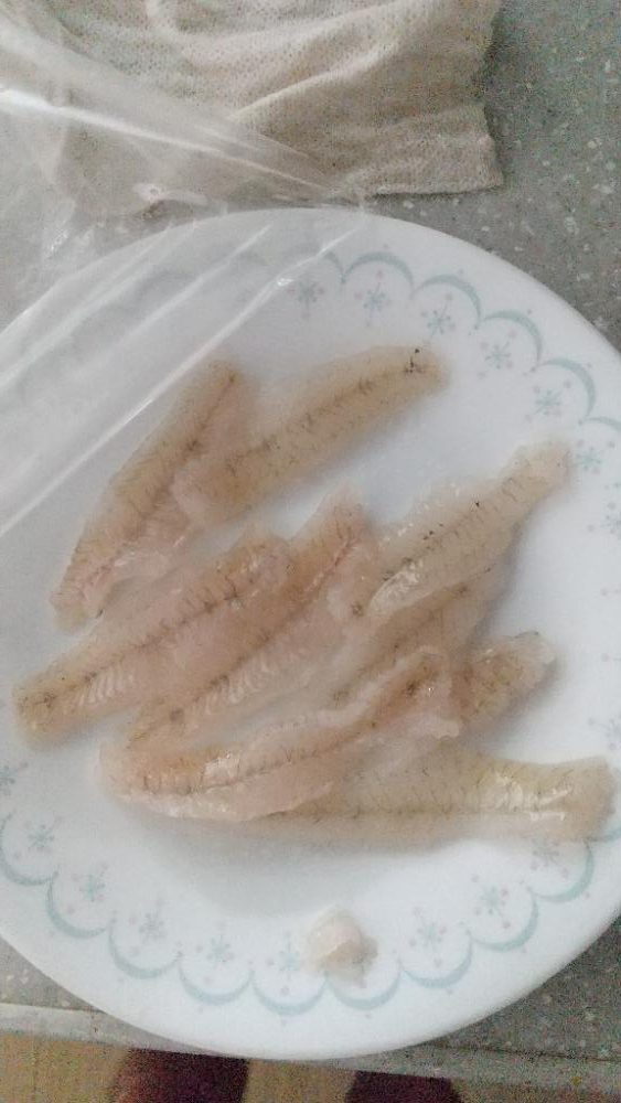 淀川ハゼ最盛期