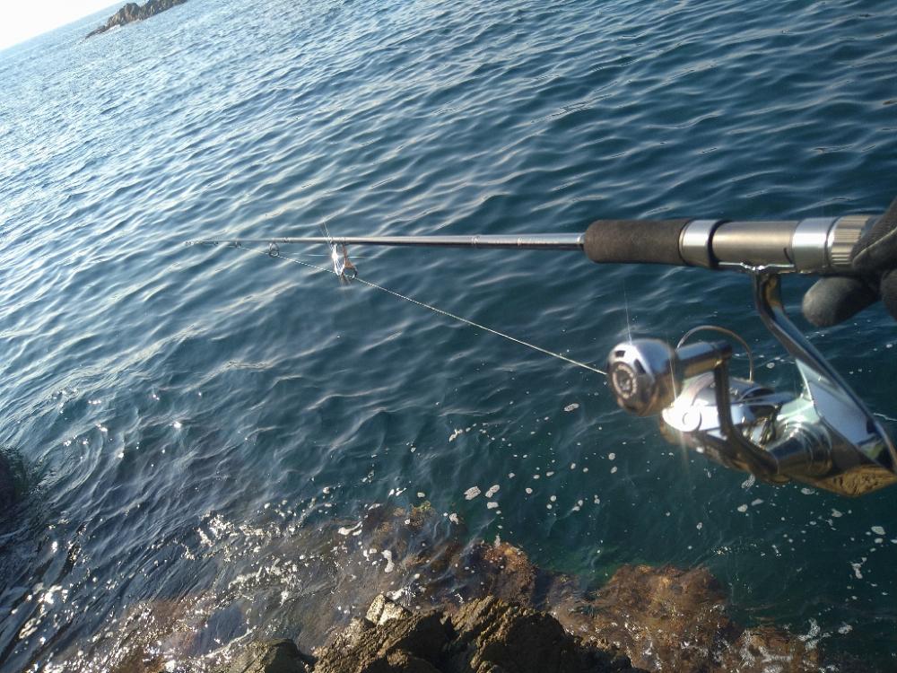 久しぶりのエギング日和