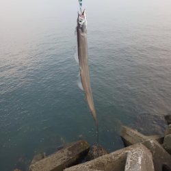 ショアジギング