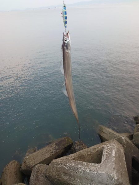 ショアジギング