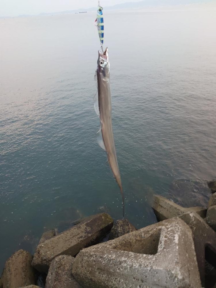 ショアジギング