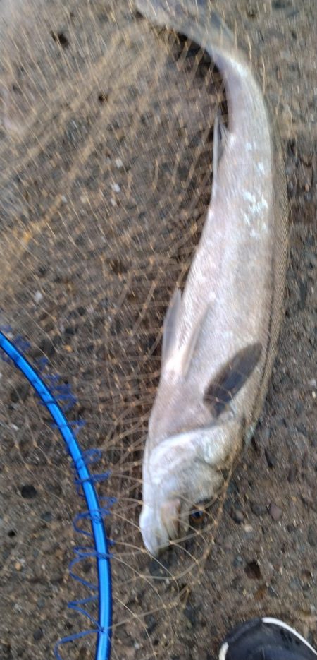 北西風で荒れ荒れ