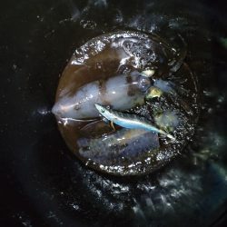 不調からの脱出の兆し