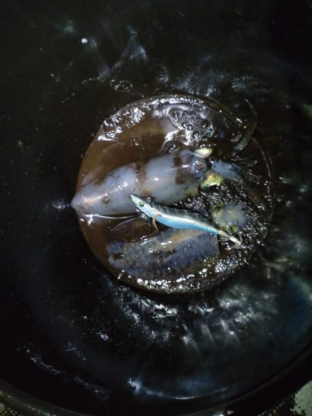 不調からの脱出の兆し