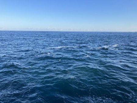 久しぶりの釣果