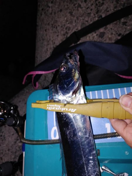 ワインド アジング