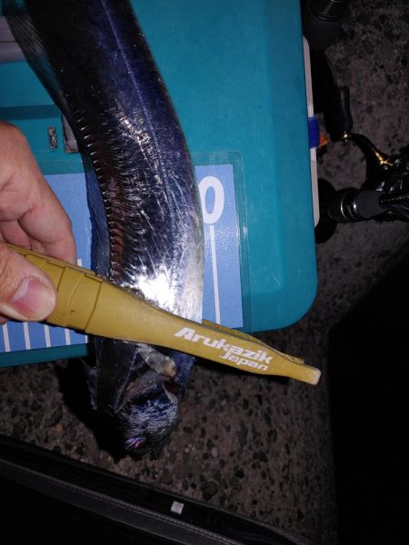 爆風ワインド、アジング