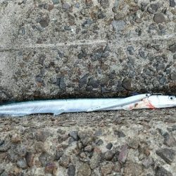 ショアジギング