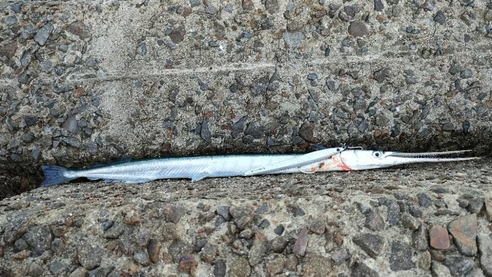 ショアジギング