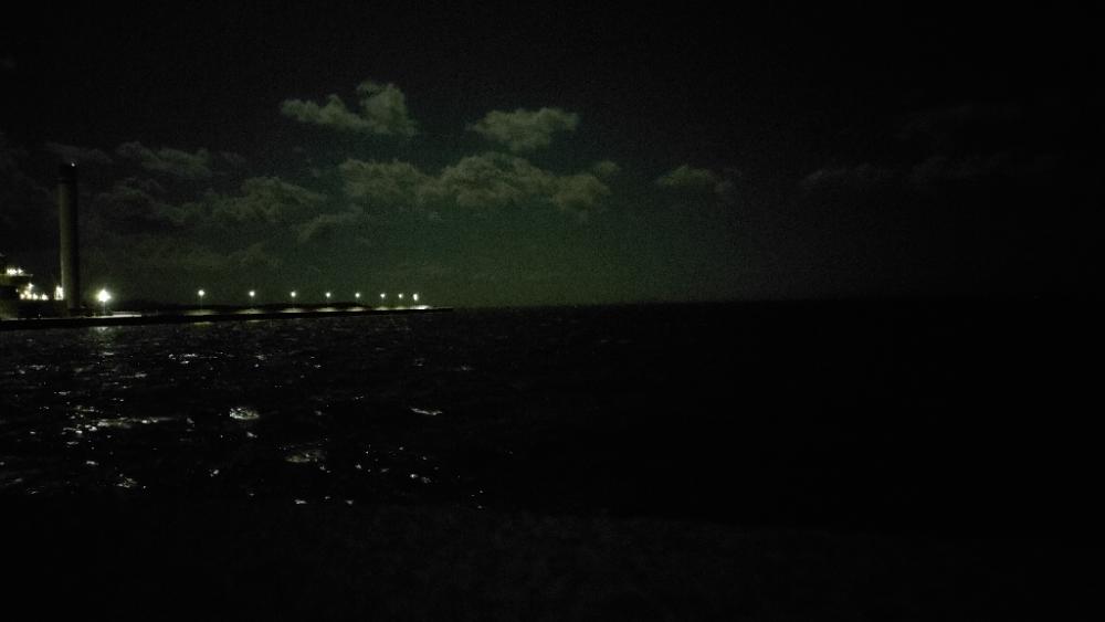 深夜エギング