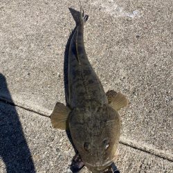 朝から釣り三昧