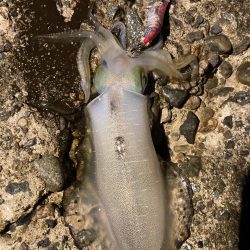 朝からバタバタ