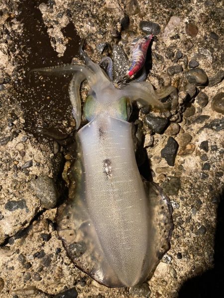 朝からバタバタ