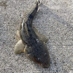 朝から頑張りました