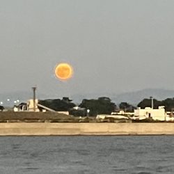 タチウオ ルアー縛り