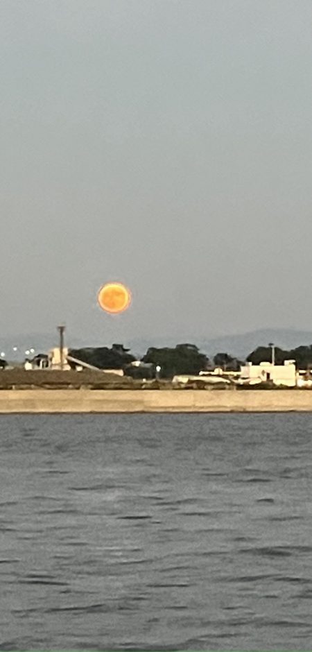 タチウオ ルアー縛り