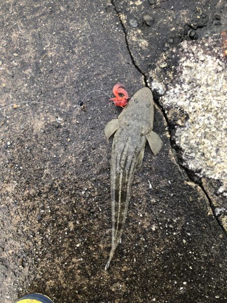 ライトソルトゲーム#02