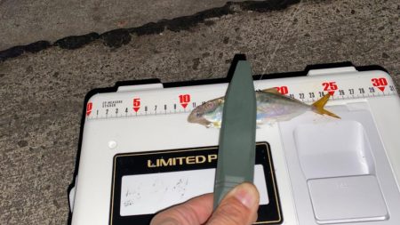 ブルカレⅢ53でアジング