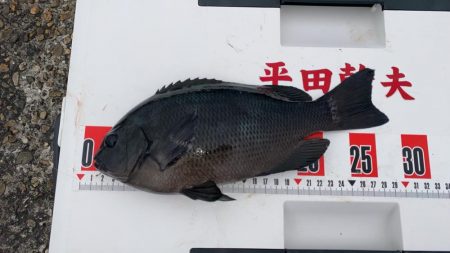 グレ自己最高28センチ