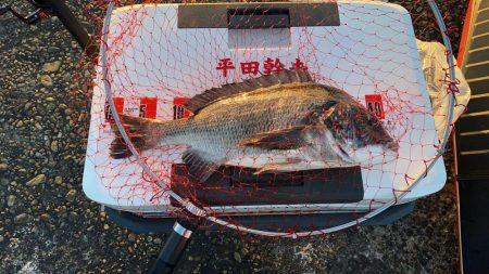 リベンジと入魂