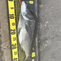 春以来のフカセ釣り