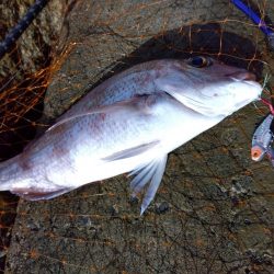 初の釣果に嬉しさ爆発しました。