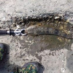 久々の念願フラット…