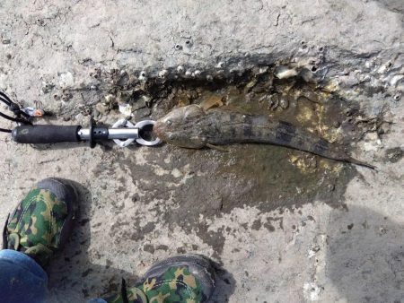 久々の念願フラット…