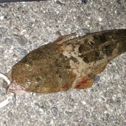 楽しいけど小せえわ