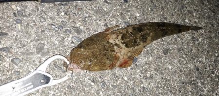 楽しいけど小せえわ