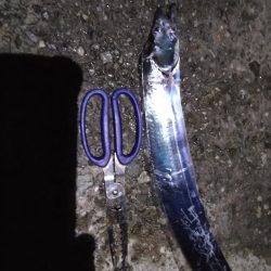 早朝でも人が多い