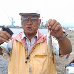 潮が動けど時合無し