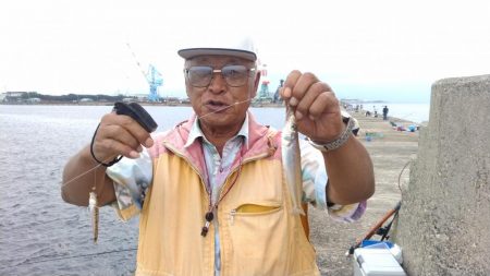 潮が動けど時合無し