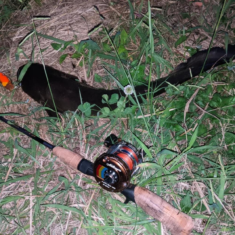 バスつれたのに…