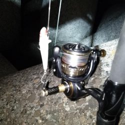 散らしてスイッチON?