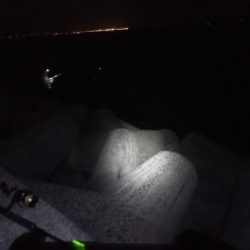 爆風の中で。。